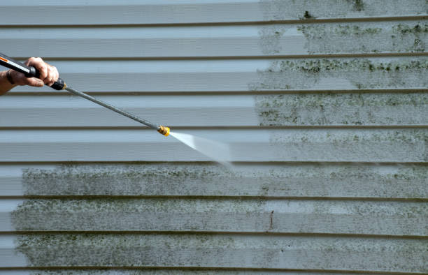 Best Gutter Cleaning  in Tazewell, VA